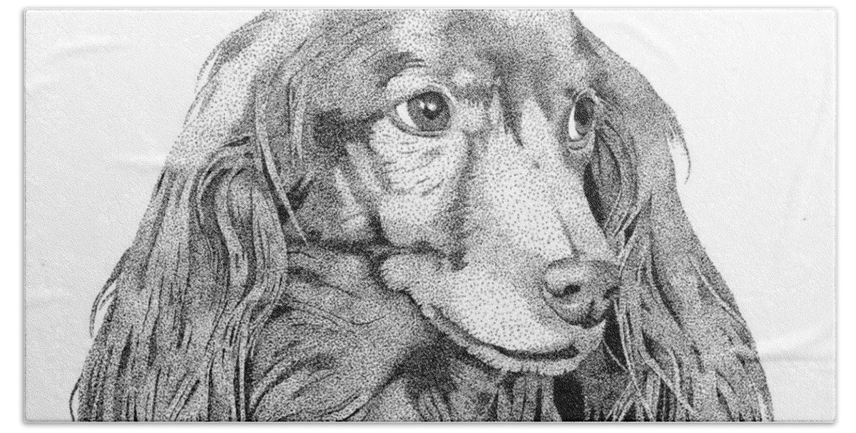 Longhair Dachshund Bath Towel featuring the drawing Fred by Robert Morin
