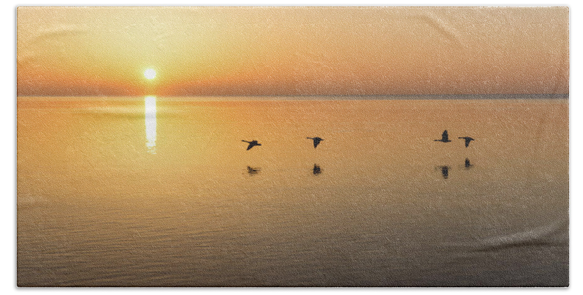 Georgia Mizuleva Hand Towel featuring the photograph Free Flight - Sunrise Birds Quartet Over Water by Georgia Mizuleva