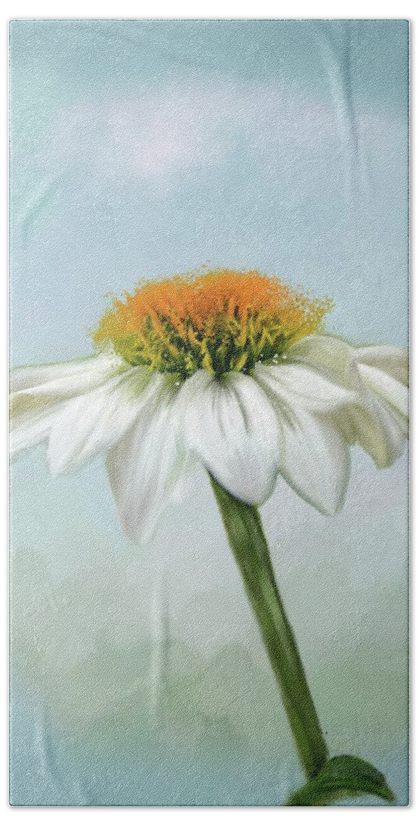 White Cone Flower With Orange Stamin Bath Towel featuring the photograph Fresh Cone Flower by Mary Timman