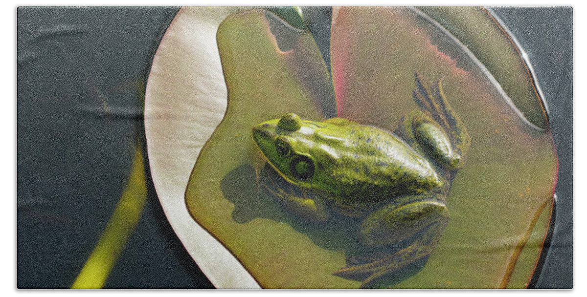 Florida Bath Towel featuring the photograph Frog Chilling on a Lilly Pad Delray Beach Florida by Lawrence S Richardson Jr