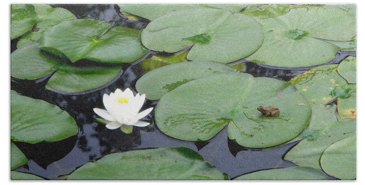 Frog Hand Towel featuring the photograph Frog on Lily Pad by George Jones