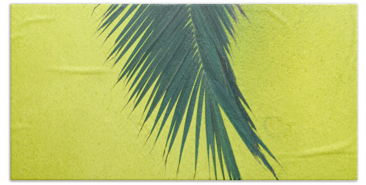 Palm Tree Bath Towel featuring the photograph Frond by Maggy Marsh