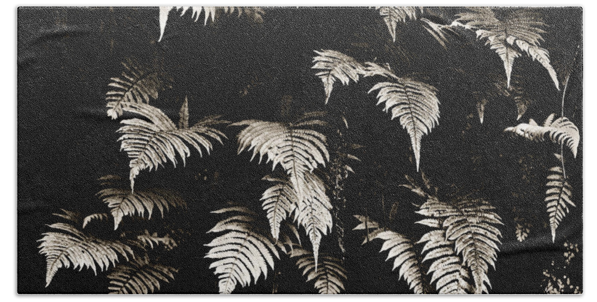 Hawaii Hand Towel featuring the photograph Fronds by Marilyn Hunt