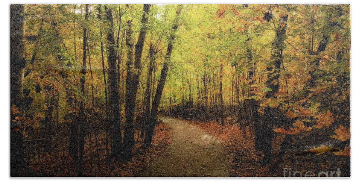 Paved Hand Towel featuring the photograph Frontenac State Park in Autumn by Jimmy Ostgard