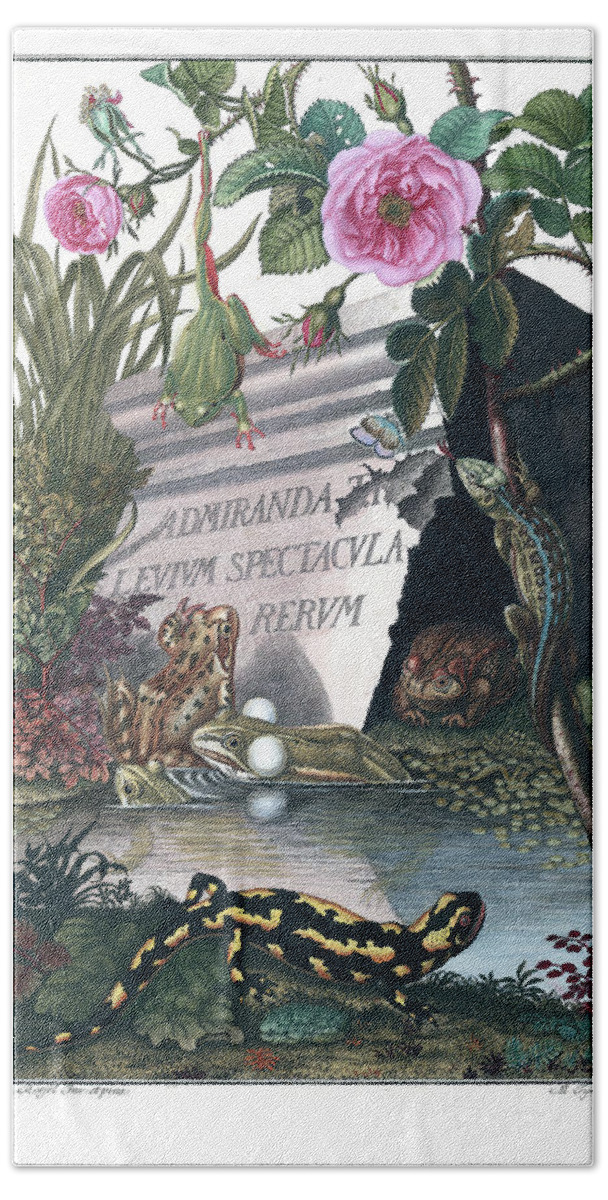 Frogs Hand Towel featuring the drawing Frontis of Historia Naturalis Ranarum Nostratium by ArtistAugust Johann Roesel von Rosenhof