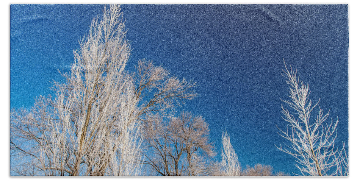 Frost Bath Towel featuring the photograph Frost Covered Trees by Todd Klassy