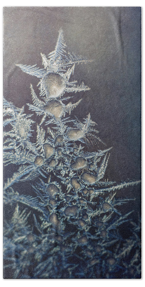 Frozen Hand Towel featuring the photograph Frost by Scott Norris