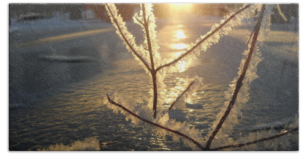 Frost. Branches Hand Towel featuring the photograph Frosty Branches at Sunrise by Kent Lorentzen