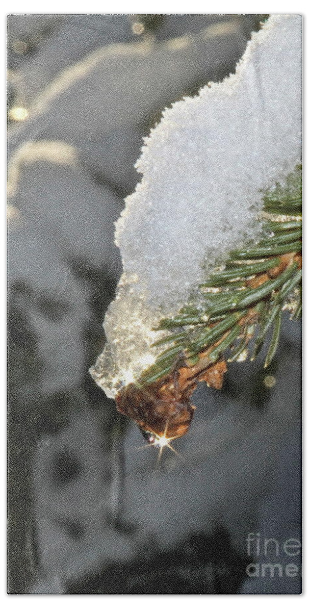 Snow Bath Towel featuring the photograph Frosty Drip by Rick Monyahan