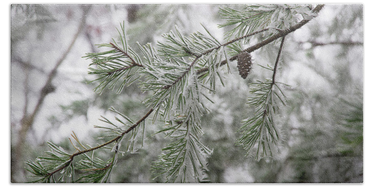 Frost Bath Towel featuring the photograph Frosty Pinecone by Mike Eingle