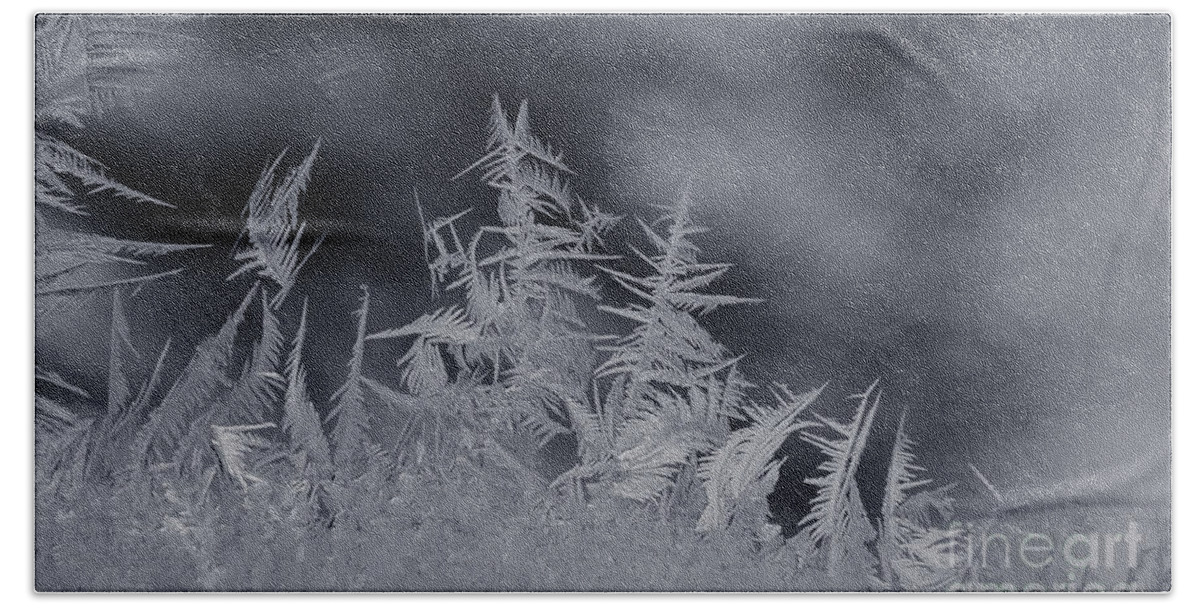 Cheryl Baxter Photography Bath Towel featuring the photograph Frosty Trees by Cheryl Baxter