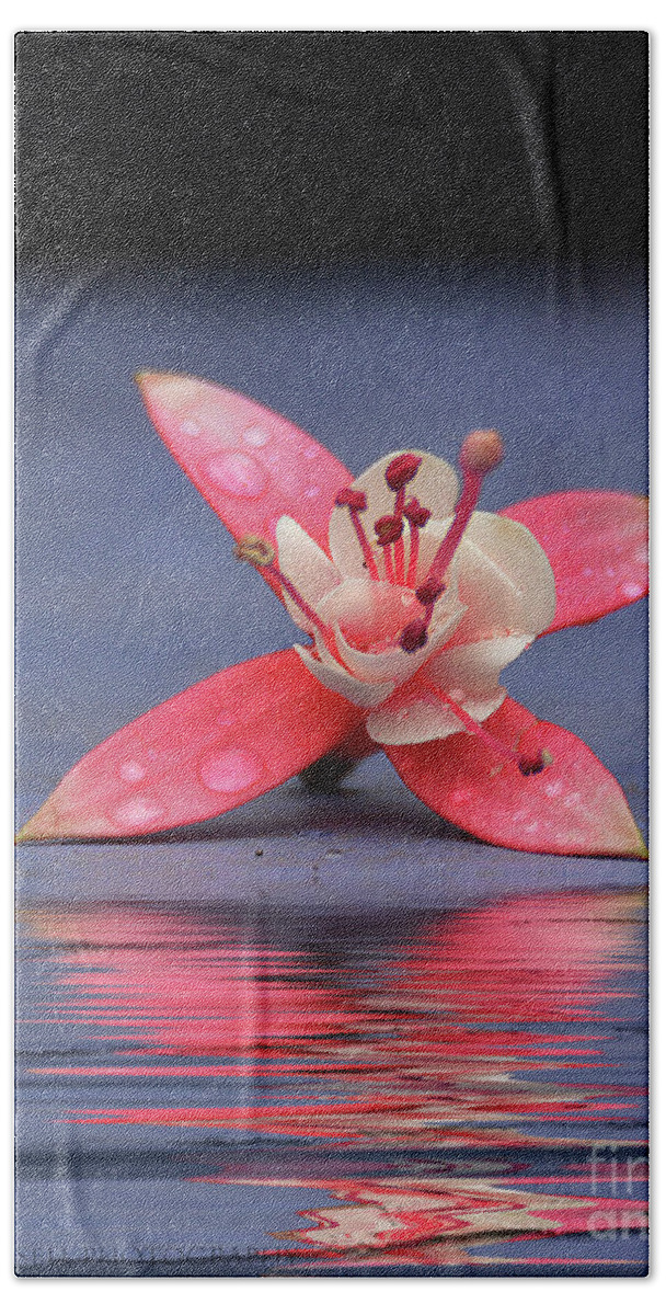  Hand Towel featuring the photograph Fuchsia and Reflection by Kathy Russell