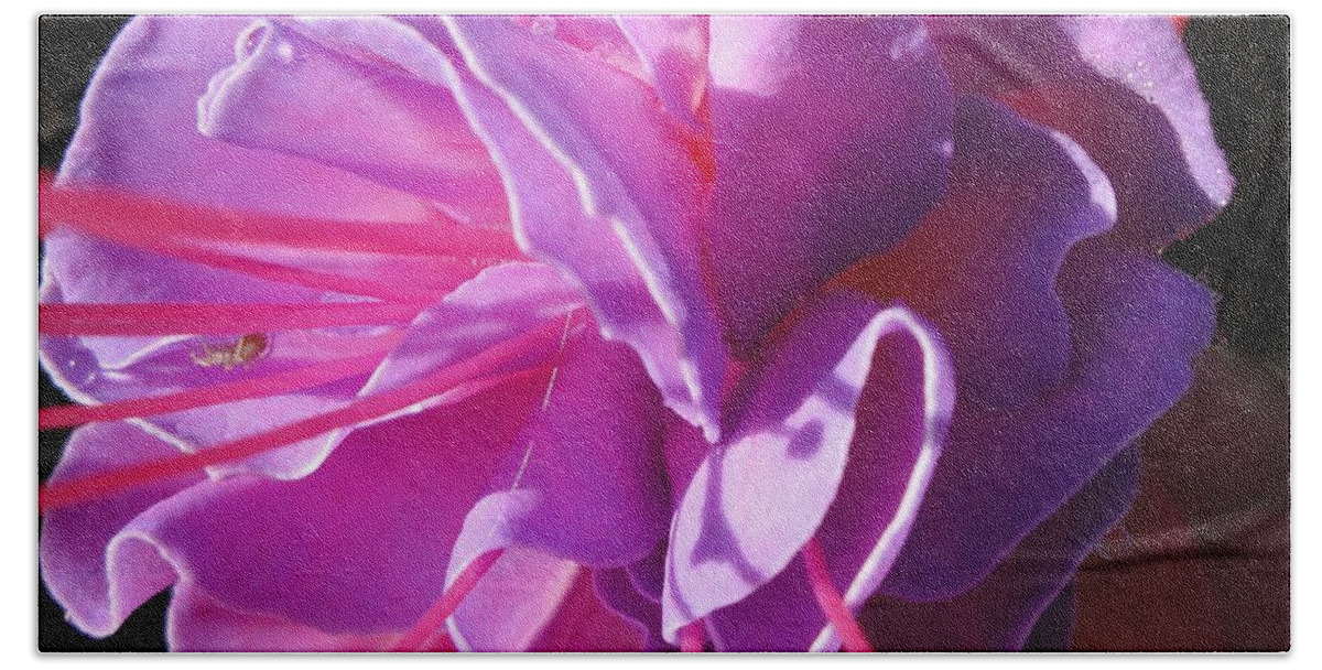 Flower Hand Towel featuring the photograph Fuchsia Frills by Susan Baker