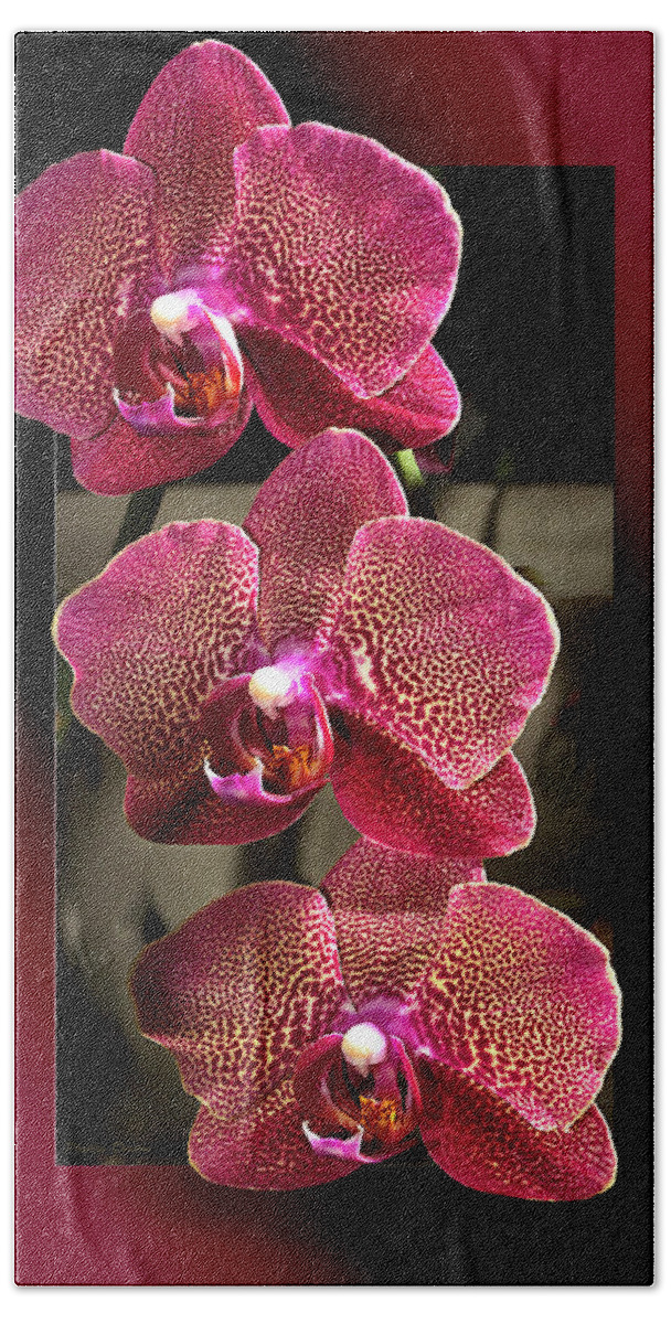 Flowers Bath Towel featuring the photograph Fuchsia Orchids OOF by Phyllis Denton