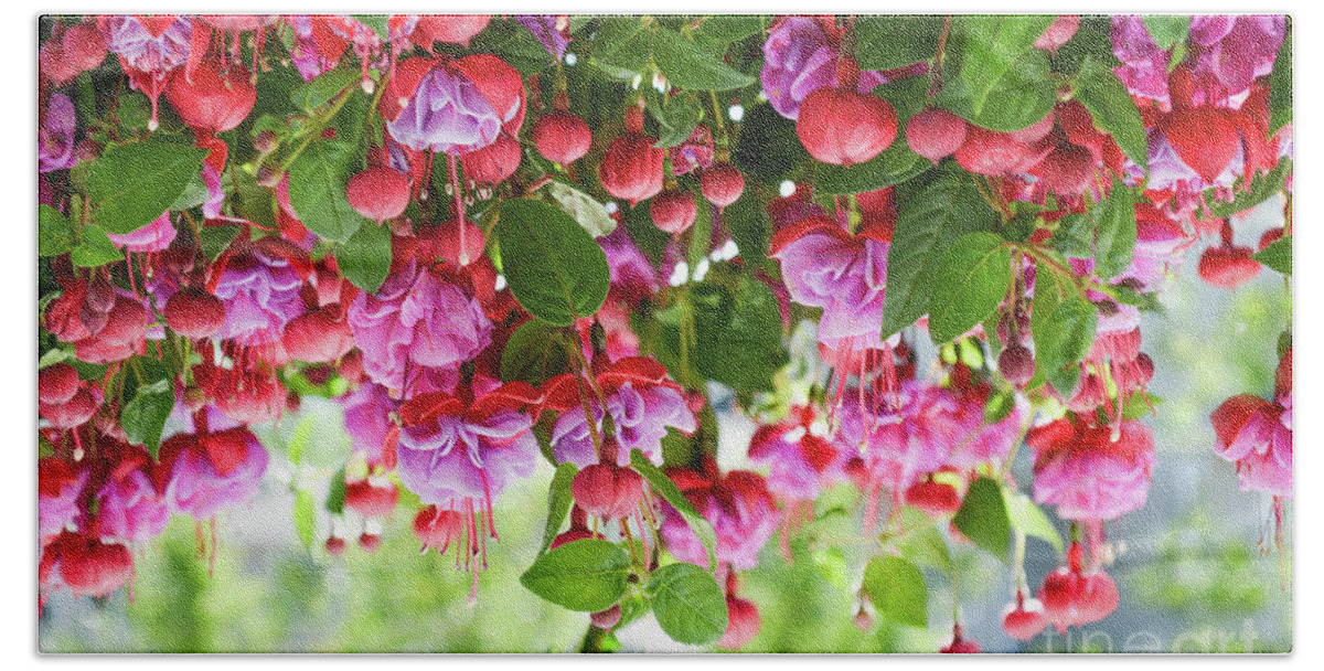 Fuchsia Hand Towel featuring the photograph Fuchsia by Zaira Dzhaubaeva