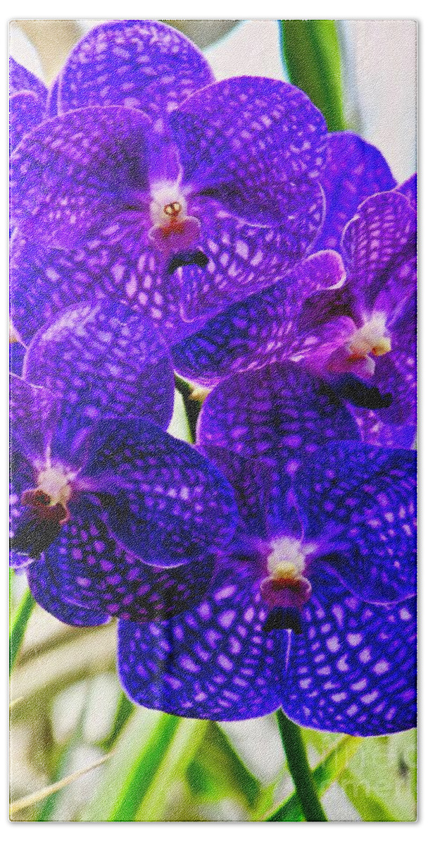 Orchids Bath Towel featuring the photograph Full Bloom by Craig Wood