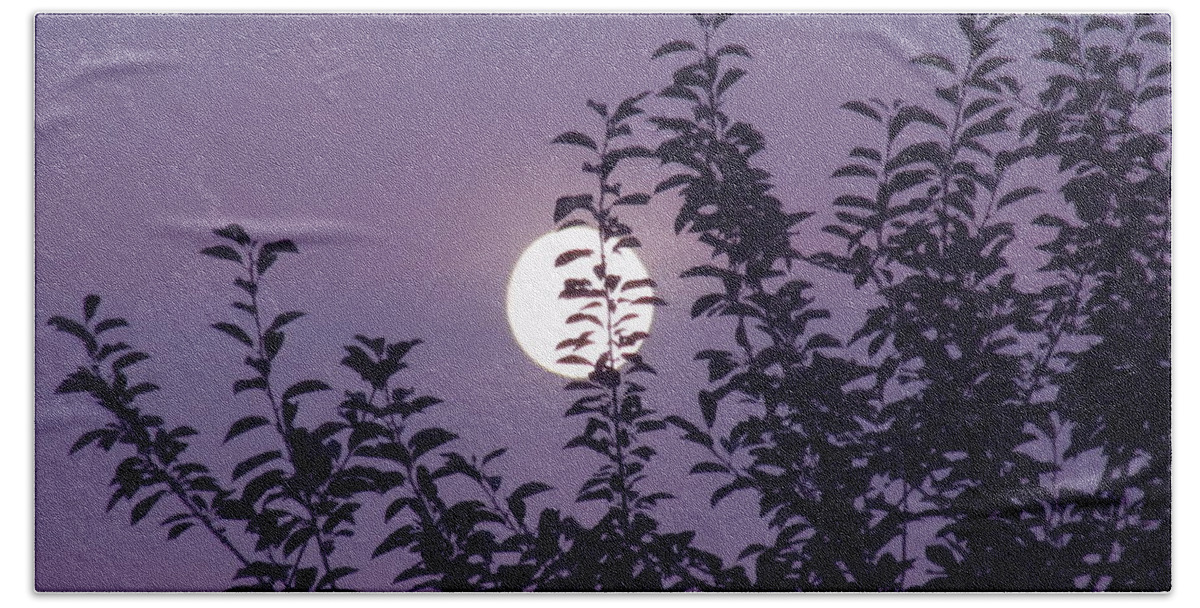 Moon Bath Towel featuring the photograph Full Moon by Vesna Martinjak
