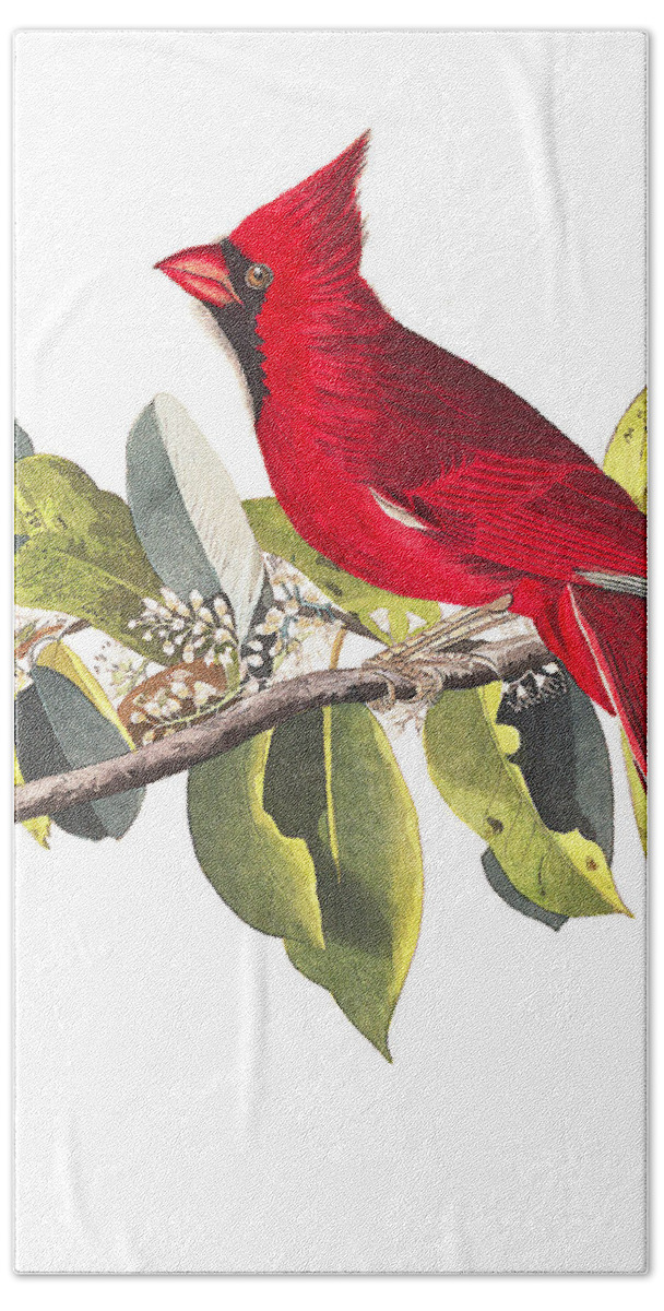 John James Audubon Bath Towel featuring the photograph Full Red by Munir Alawi