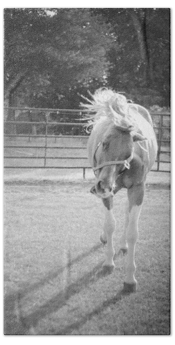 Kelly Hazel Hand Towel featuring the photograph Funny Horse in Black and White by Kelly Hazel