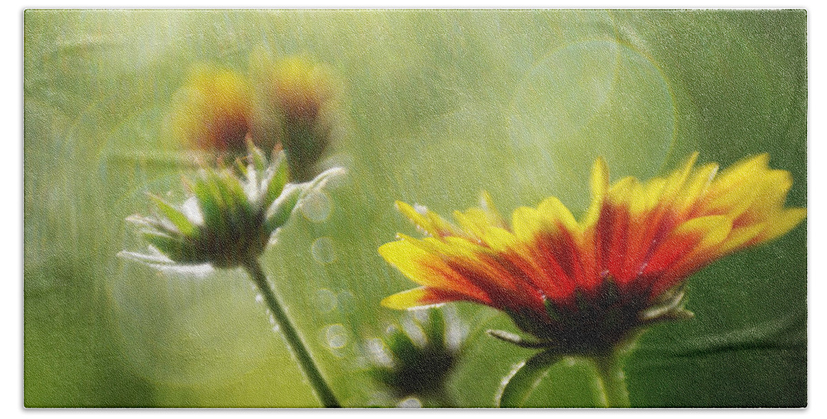 Flowers Hand Towel featuring the photograph Gaillardia After The Rain by Dorothy Lee