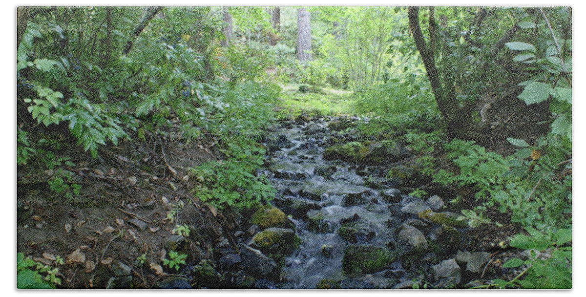 Nature Bath Towel featuring the photograph Garden Springs Creek in Spokane by Ben Upham III