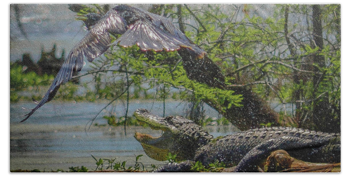 Nature Hand Towel featuring the photograph Gator bait by Barry Bohn
