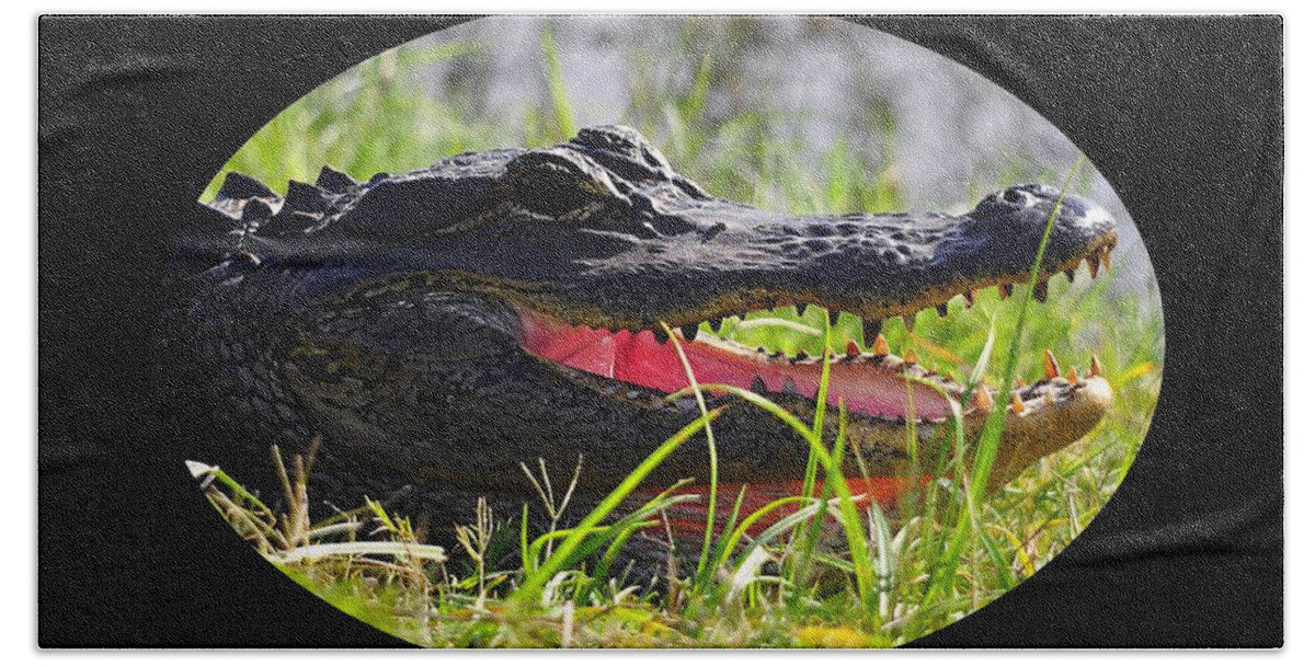 Alligator Bath Towel featuring the photograph Gator Grin .png by Al Powell Photography USA