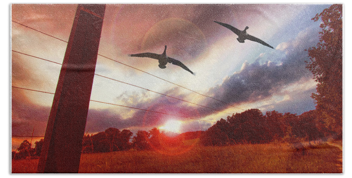 Canada Geese Bath Towel featuring the photograph Geese Fly Over a Field at Sunset by A Macarthur Gurmankin
