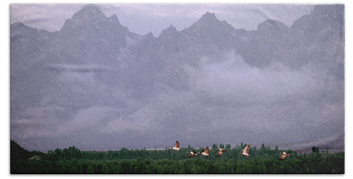 Animals Hand Towel featuring the photograph Geese, Grand Tetons by Gary Shepard