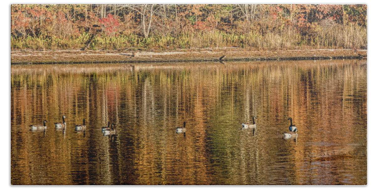 Lake Hand Towel featuring the photograph Geese in Autumn by Cathy Kovarik