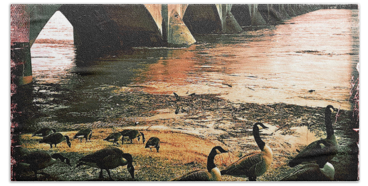 Geese Bath Towel featuring the photograph Geese On A Stroll by Kevyn Bashore