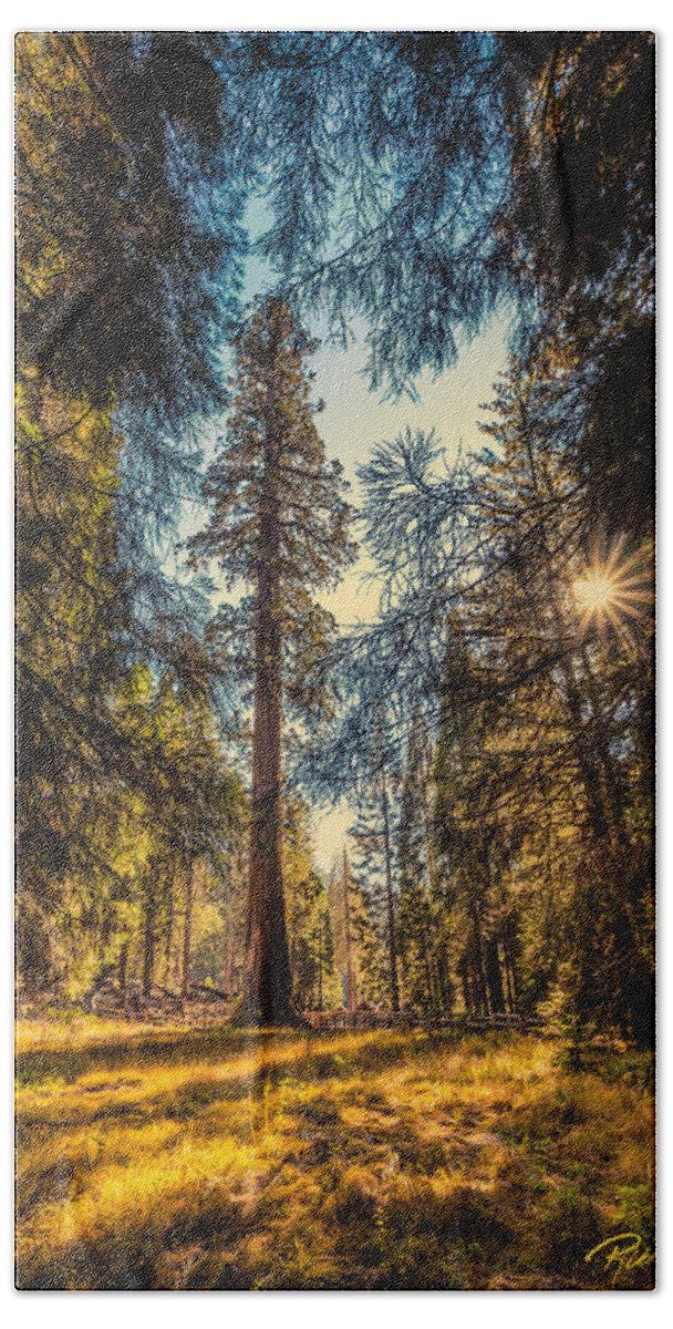 California Hand Towel featuring the photograph General Sherman by Rikk Flohr