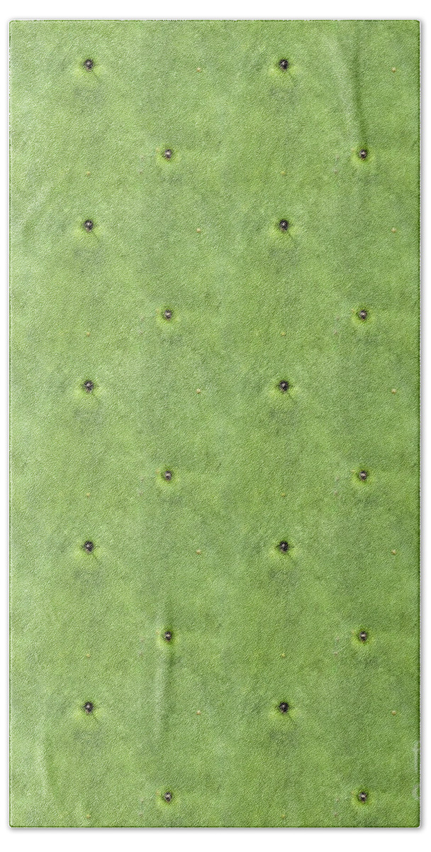 Cactus Hand Towel featuring the photograph Geometric Prickles by Gabriele Pomykaj