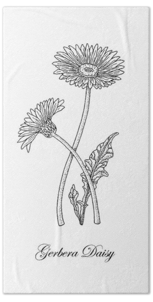 Featured image of post Gerbera Daisy Line Drawing When it arrives in the imperfect conditions of your yard it will likely experience a panic attack