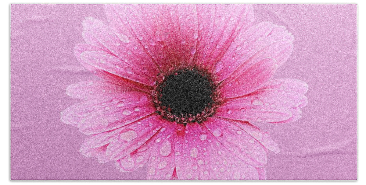 Flower Bath Towel featuring the photograph Gerbera Pink - Daisy by MTBobbins Photography