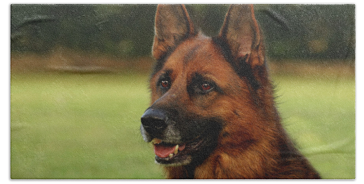 German Shepherd Hand Towel featuring the photograph German Shepherd by Jackie Russo