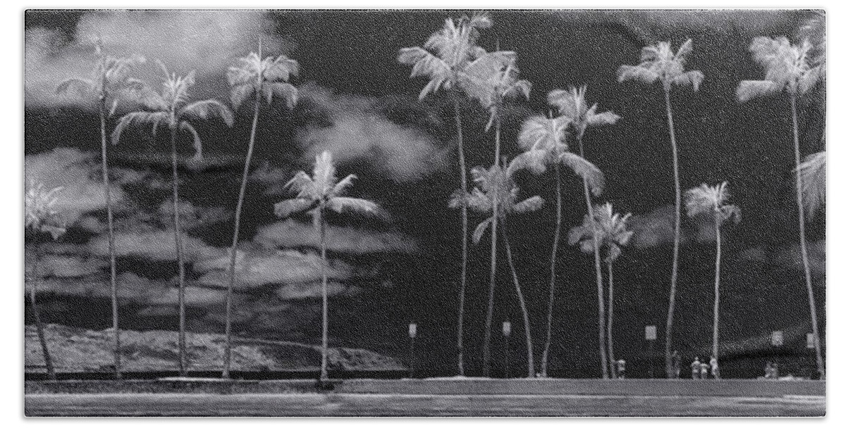 Black And White Bath Towel featuring the photograph Giant Dandelions. by Sean Davey