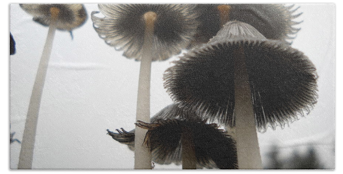 Mushroom Bath Towel featuring the photograph Giant Mushrooms in June by Kent Lorentzen