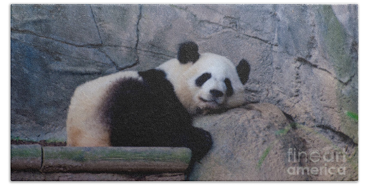 Giant Panda Bath Towel featuring the photograph Giant Panda by Donna Brown
