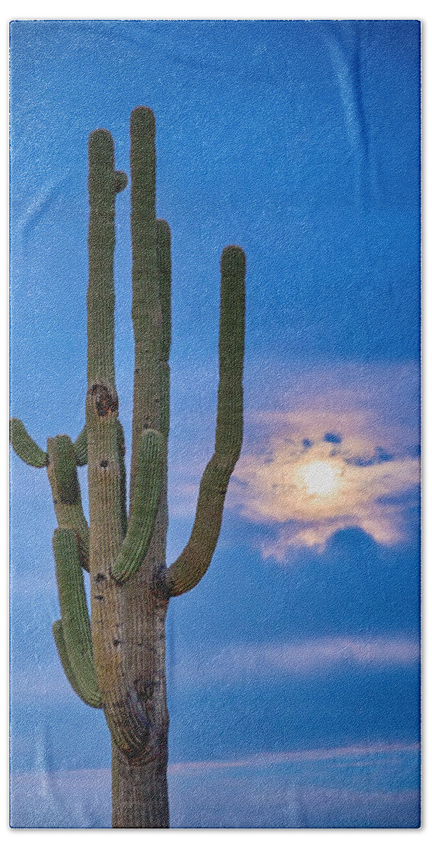 Weather Bath Towel featuring the photograph Giant Saguaro Cactus Golden Cloudy Full Moonset by James BO Insogna
