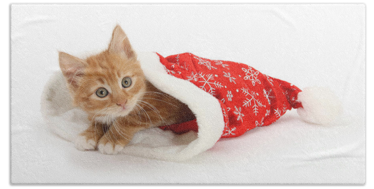 Father Christmas Bath Towel featuring the photograph Ginger Kit in Santa Hat by Warren Photographic
