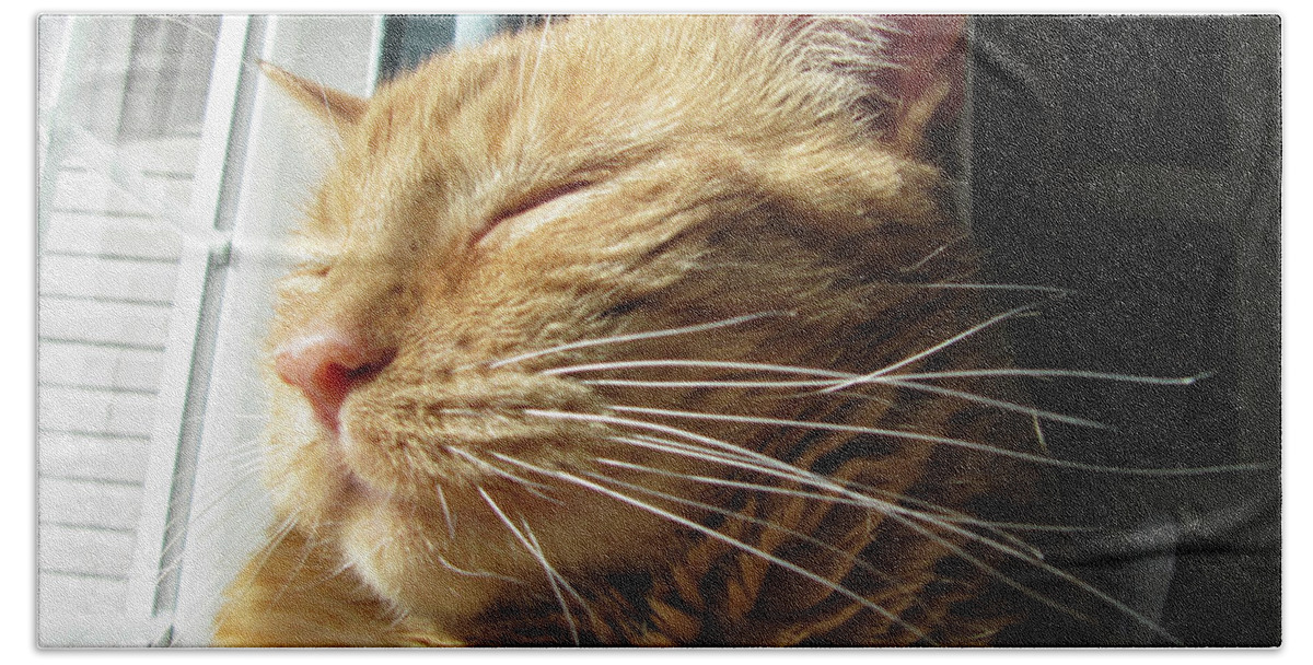 Ginger Tabby Bath Towel featuring the photograph Ginger Tabby by Donna L Munro