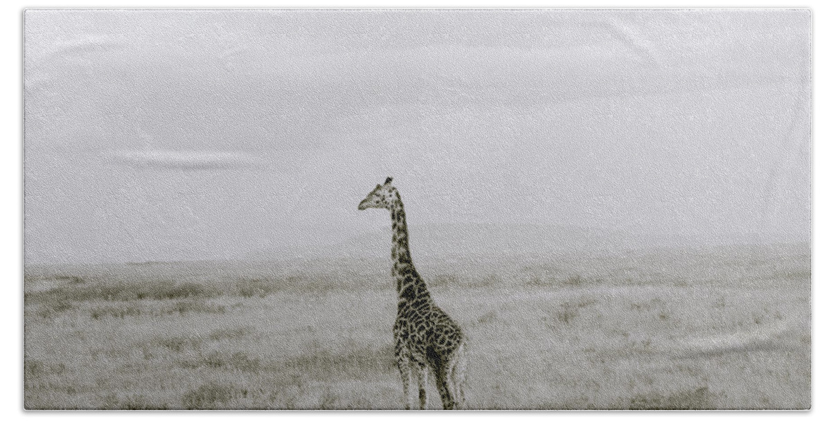 Africa Hand Towel featuring the photograph Giraffe by Shaun Higson