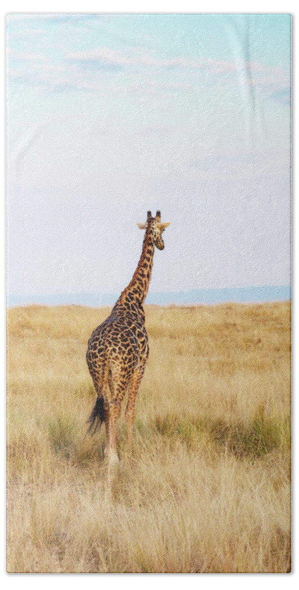 Masai Giraffe Hand Towel featuring the photograph Giraffe Walking in Kenya Africa - Vertical by Good Focused