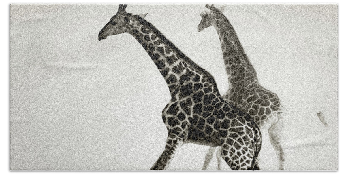 Giraffe Bath Towel featuring the photograph Giraffes fleeing by Johan Swanepoel
