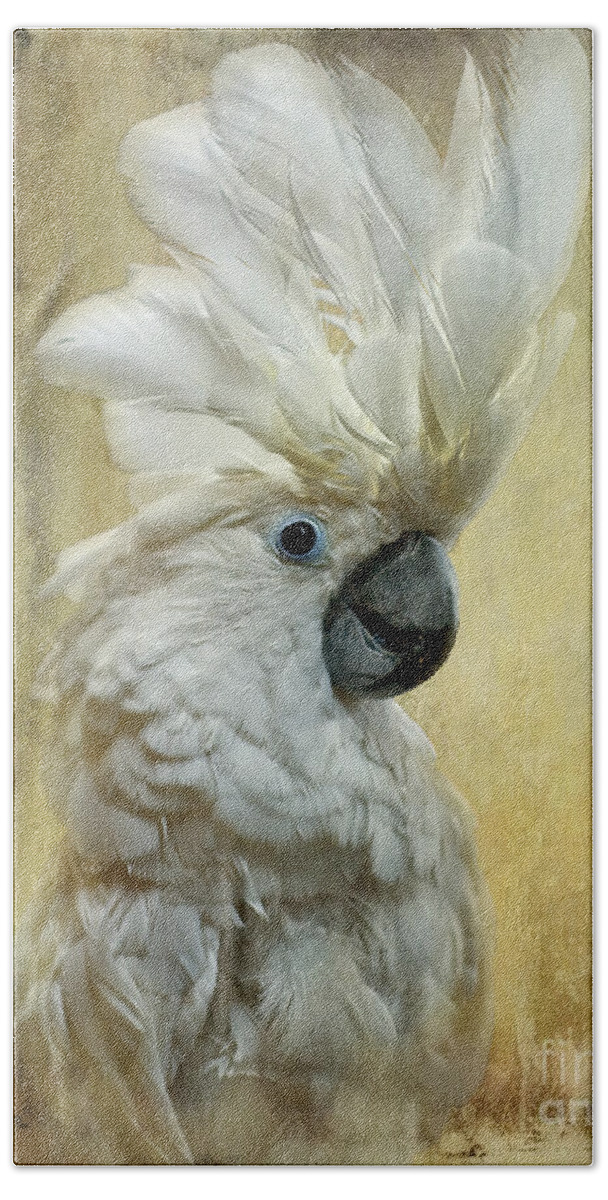 Bird Bath Towel featuring the photograph Glamour Girl by Lois Bryan