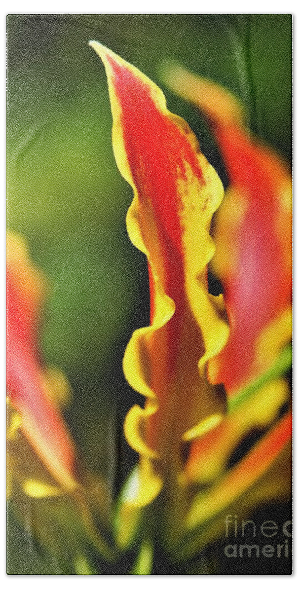 Yellow Hand Towel featuring the photograph Gloriosa Lilly by Tracey Lee Cassin