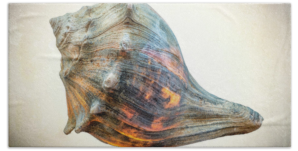 Shell Hand Towel featuring the photograph Glowing Conch Shell by Gary Slawsky