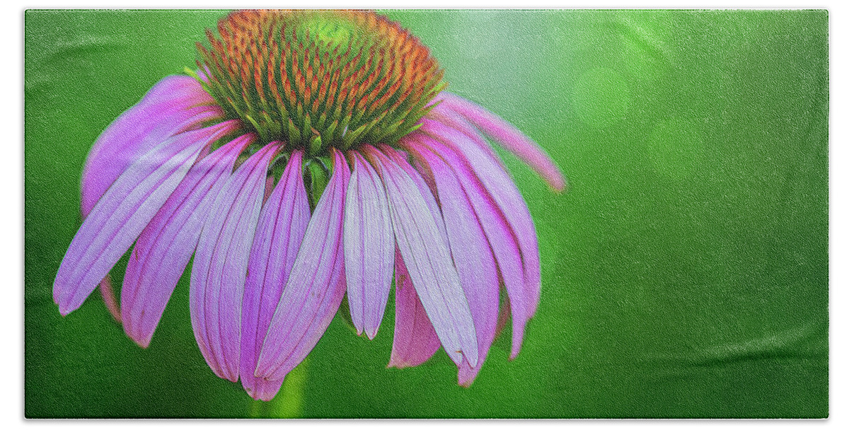 Flower Bath Towel featuring the photograph Glowing Cone Flower by Cathy Kovarik