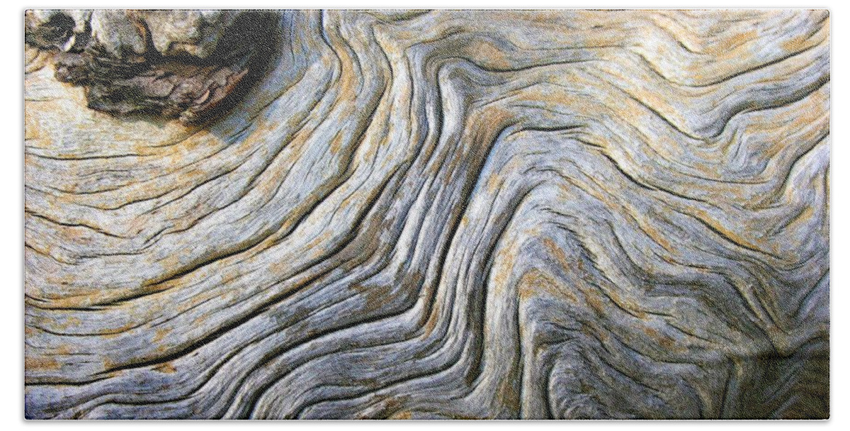 Trees Bath Towel featuring the photograph Gnarled Driftwood by Polly Castor